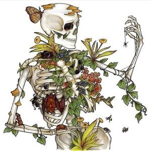 Meet your Posher, Carmen